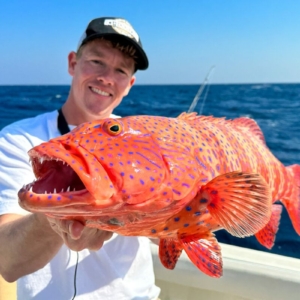 Fishing For Giant Nile Perch In Lake Nasser